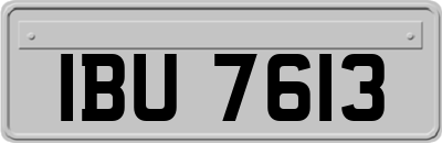 IBU7613