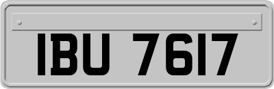 IBU7617