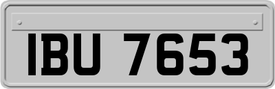 IBU7653
