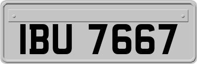 IBU7667