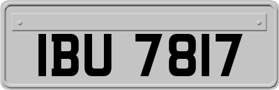IBU7817