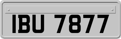 IBU7877