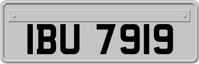 IBU7919