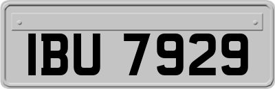 IBU7929