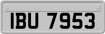 IBU7953