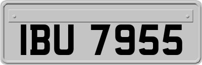 IBU7955