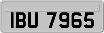 IBU7965