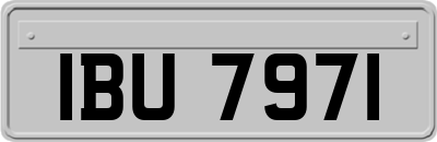 IBU7971