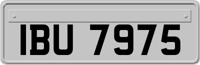 IBU7975