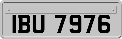 IBU7976