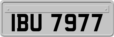 IBU7977