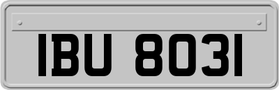 IBU8031