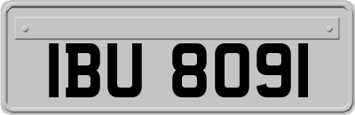 IBU8091