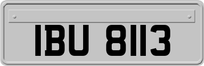IBU8113