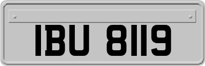 IBU8119