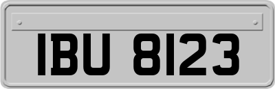 IBU8123
