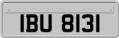 IBU8131