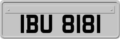 IBU8181