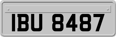 IBU8487