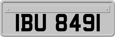 IBU8491