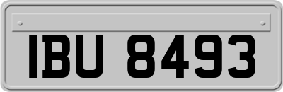 IBU8493