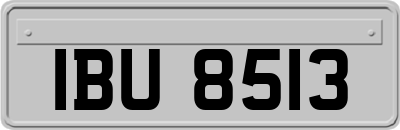IBU8513