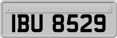 IBU8529