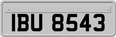 IBU8543