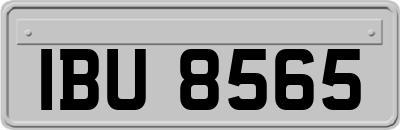 IBU8565