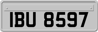 IBU8597