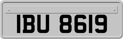IBU8619