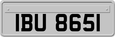 IBU8651