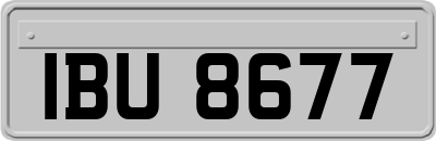 IBU8677