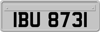 IBU8731