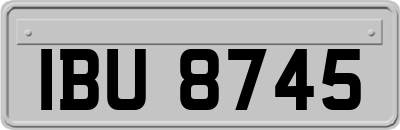 IBU8745