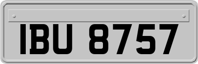 IBU8757