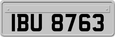 IBU8763