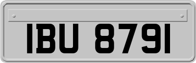 IBU8791