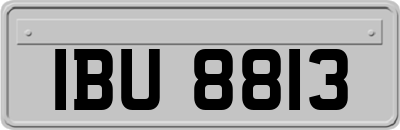 IBU8813