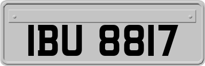 IBU8817