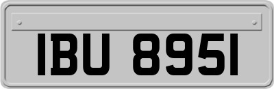 IBU8951