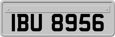 IBU8956