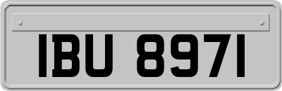 IBU8971