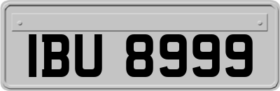 IBU8999