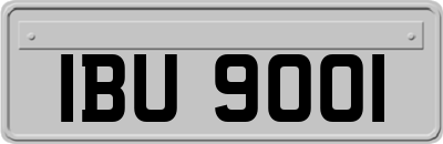 IBU9001
