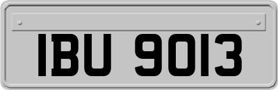 IBU9013