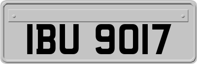 IBU9017