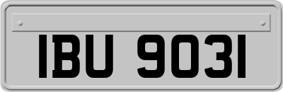 IBU9031