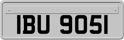 IBU9051