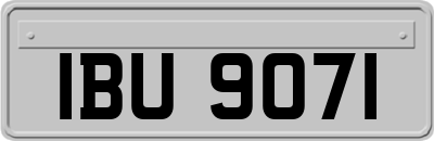 IBU9071